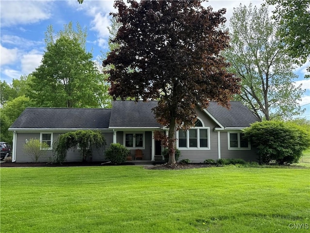 view of front of home featuring a front lawn and roof with shingles