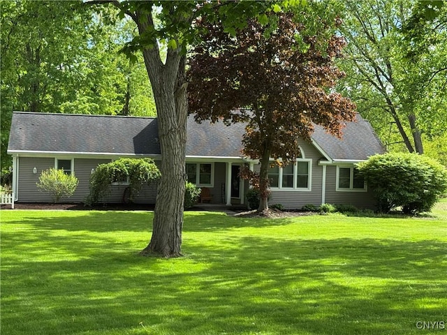 view of front of property featuring a front lawn and roof with shingles
