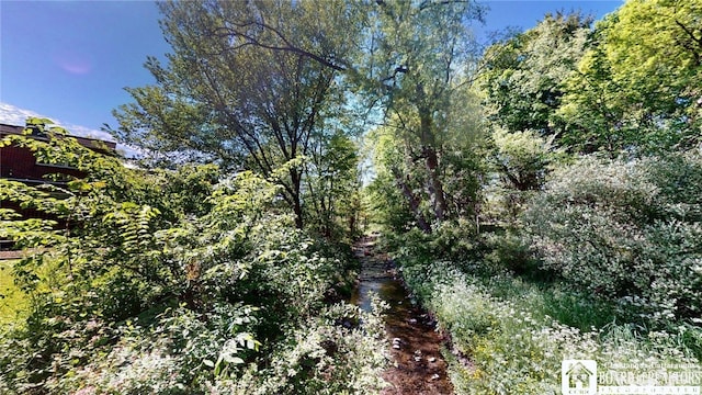 3108 N Main Street Ext, Ellicott, NY 14701 - view of nature