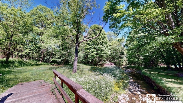 3108 N Main Street Ext, Ellicott, NY 14701 - view of yard