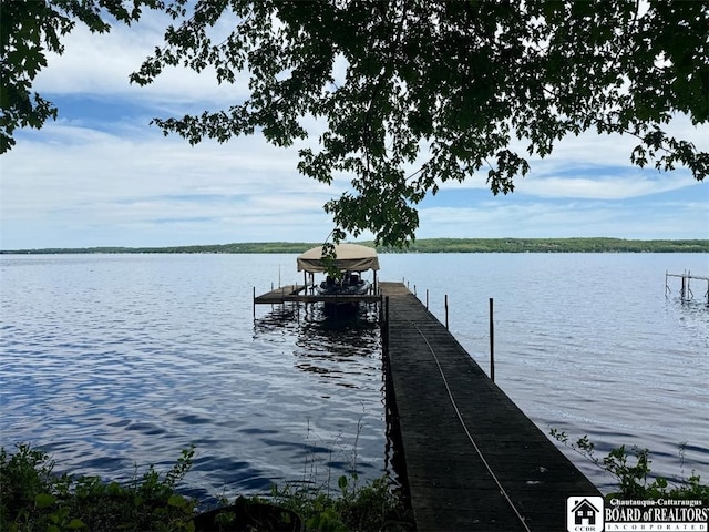 4454 W Fairmount Ave, Busti, NY 14750 - photo 6