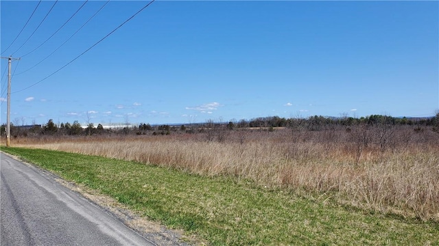 LOT29 Old Plank Rd, Coxsackie, NY 12051 - photo 6