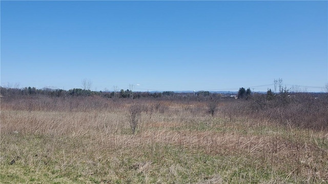 LOT29 Old Plank Rd, Coxsackie, NY 12051 - photo 9