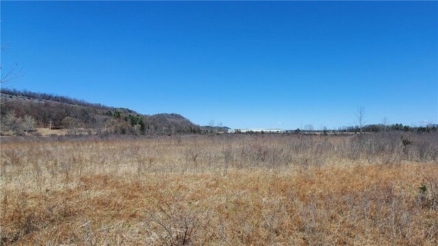 LOT29 Old Plank Rd, Coxsackie, NY 12051 - photo 10