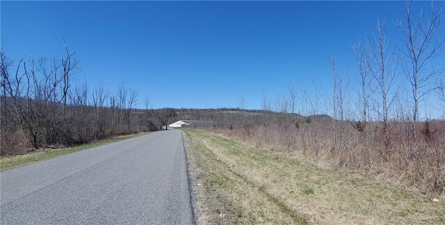 LOT29 Old Plank Rd, Coxsackie, NY 12051 - photo 11