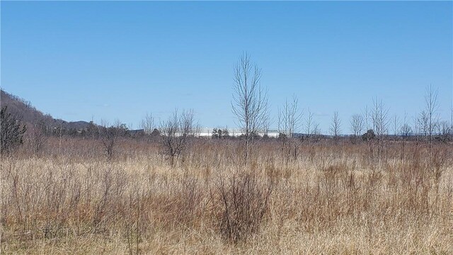 LOT29 Old Plank Rd, Coxsackie, NY 12051 - photo 12