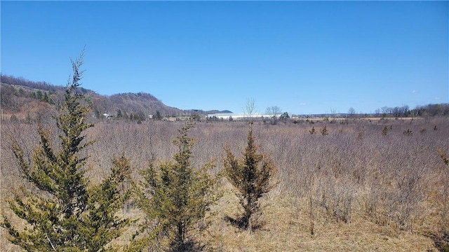 LOT29 Old Plank Rd, Coxsackie, NY 12051 - photo 14