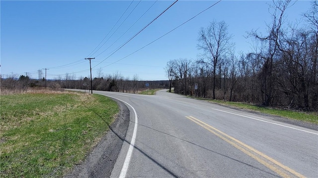 LOT29 Old Plank Rd, Coxsackie, NY 12051 - photo 15