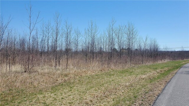 LOT29 Old Plank Rd, Coxsackie, NY 12051 - photo 16