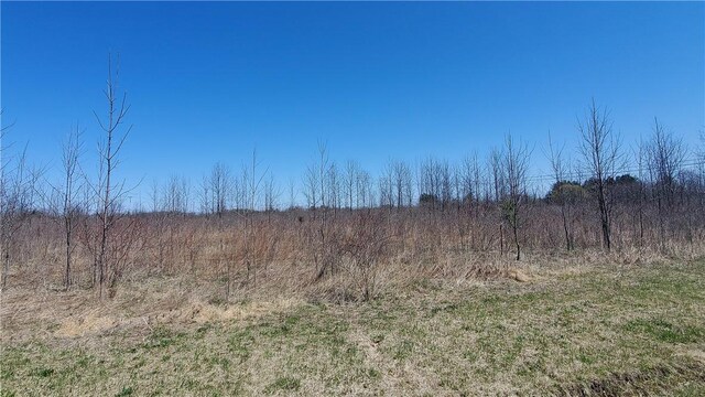 LOT29 Old Plank Rd, Coxsackie, NY 12051 - photo 17