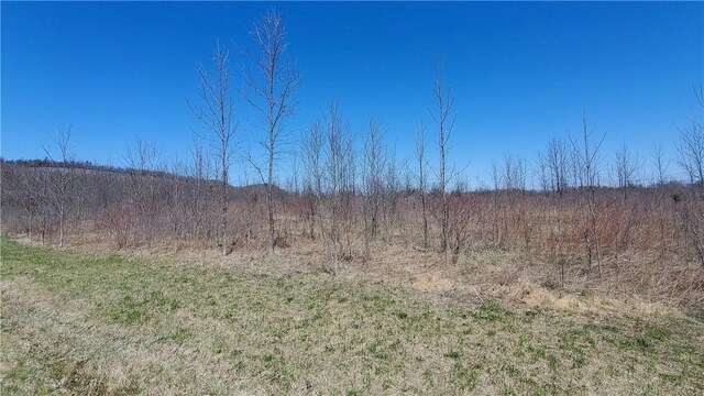 LOT29 Old Plank Rd, Coxsackie, NY 12051 - photo 18