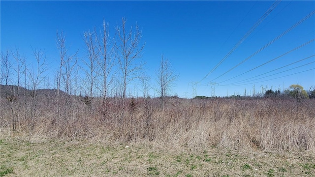 LOT29 Old Plank Rd, Coxsackie, NY 12051 - photo 19