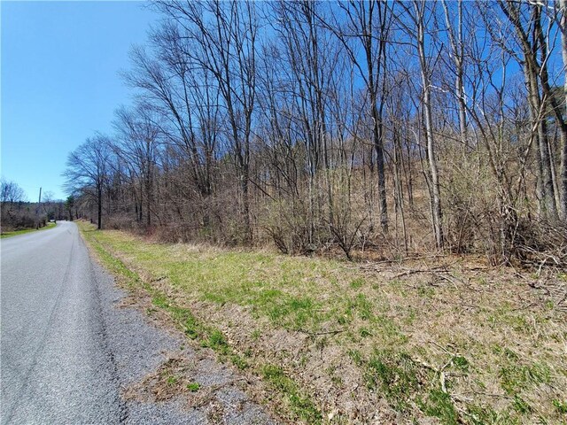 LOT29 Old Plank Rd, Coxsackie, NY 12051 - photo 20
