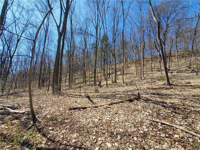 LOT29 Old Plank Rd, Coxsackie, NY 12051 - photo 21