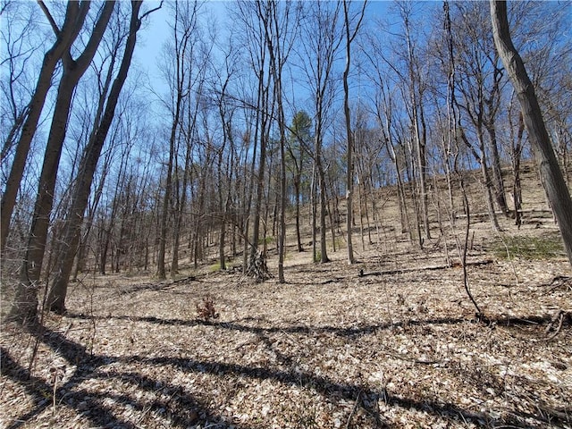 LOT29 Old Plank Rd, Coxsackie, NY 12051 - photo 22