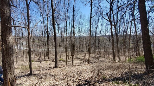 LOT29 Old Plank Rd, Coxsackie, NY 12051 - photo 24