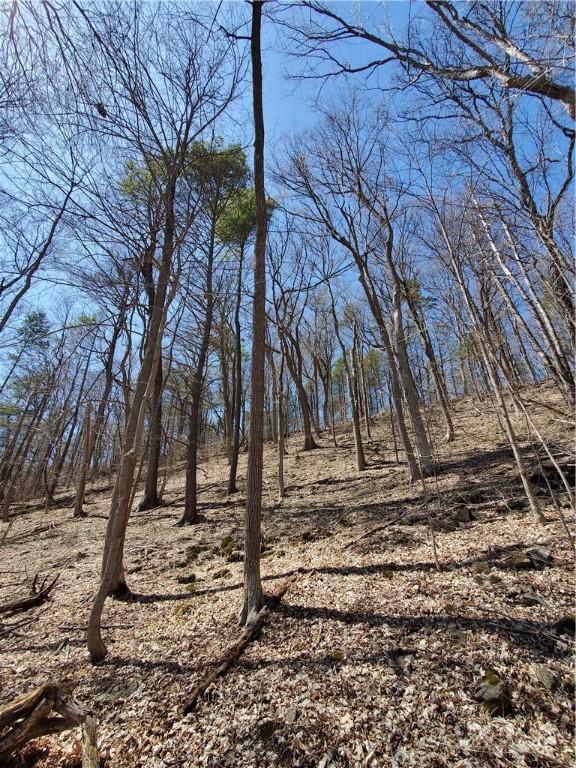LOT29 Old Plank Rd, Coxsackie, NY 12051 - photo 25
