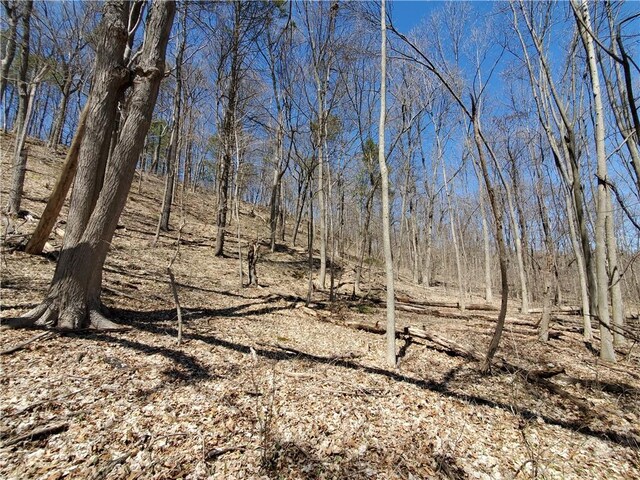 LOT29 Old Plank Rd, Coxsackie, NY 12051 - photo 26