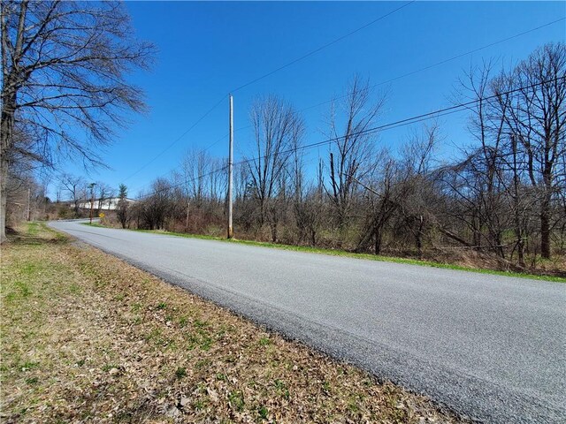 LOT29 Old Plank Rd, Coxsackie, NY 12051 - photo 27