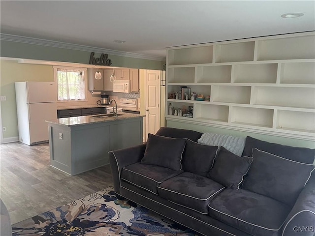 76 Windebank Ln, Manlius, NY 13116 - living area with ornamental molding and wood finished floors