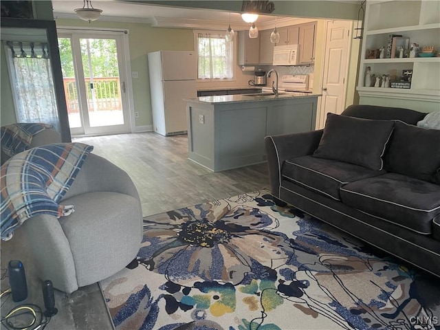 76 Windebank Ln, Manlius, NY 13116 - living room featuring light wood-style floors and ornamental molding