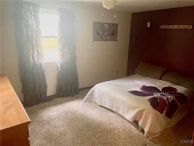 76 Windebank Ln, Manlius, NY 13116 - bedroom featuring carpet flooring
