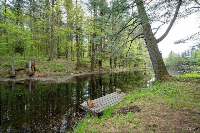 7678 N Shore Rd, Watson, NY 13343 - view of dock area