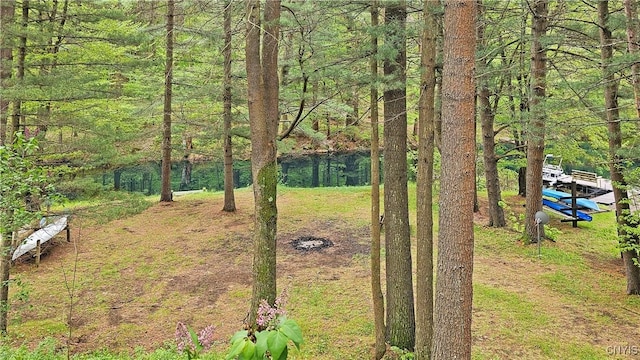7678 N Shore Rd, Watson, NY 13343 - view of yard with a wooded view