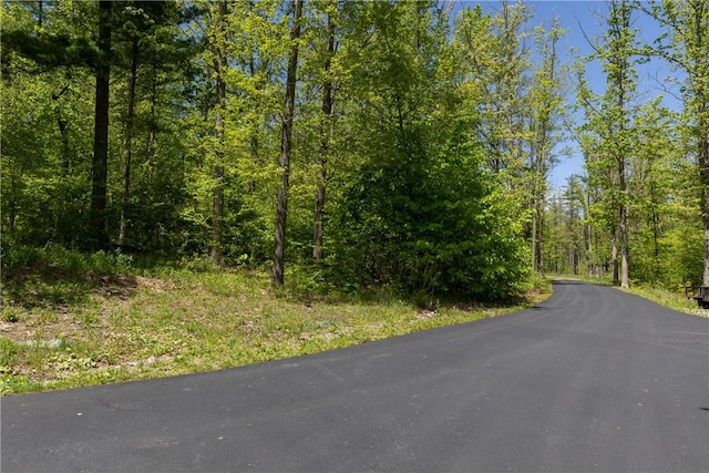 2208 Davis Rd, Corning, NY 14830 - view of asphalt road featuring a forest view