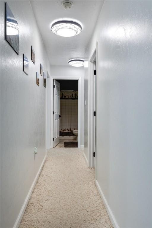 2208 Davis Rd, Corning, NY 14830 - hallway featuring carpet and baseboards