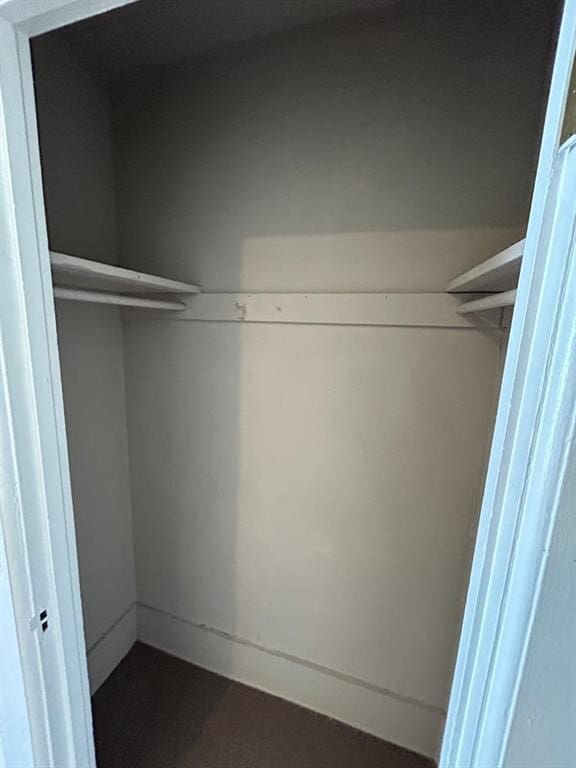 237 Scottwood Ave, Horseheads, NY 14903 - view of spacious closet