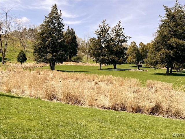 308 Rowland St, Syracuse, NY 13204 - view of grassy yard