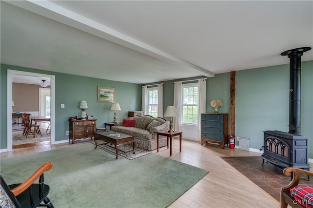 485 E Joseph St, Cape Vincent, NY 13618 - living room featuring a wood stove, healthy amount of natural light, and wood finished floors
