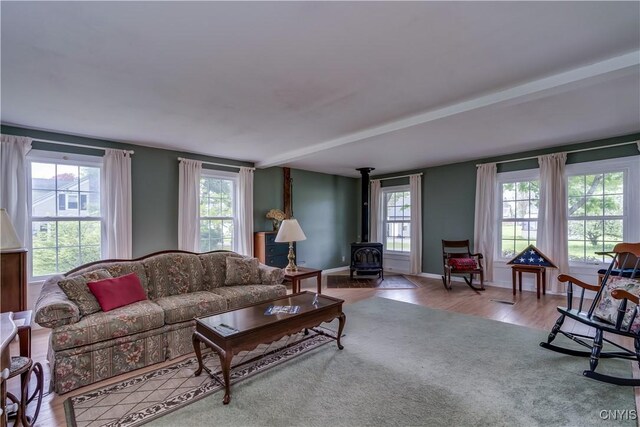 485 E Joseph St, Cape Vincent, NY 13618 - living room featuring a wood stove, wood finished floors, and baseboards