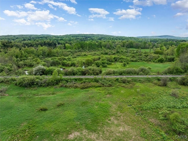 10279 Old State Route 12, Remsen, NY 13438 - photo 40