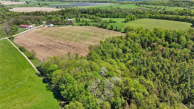 00 Armison Rd, Hume, NY 14735 - photo 4