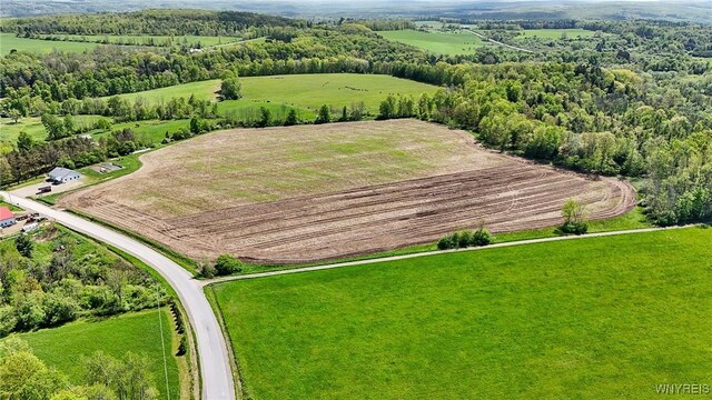 00 Armison Rd, Hume, NY 14735 - photo 5