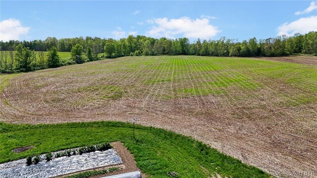 00 Armison Rd, Hume, NY 14735 - photo 6