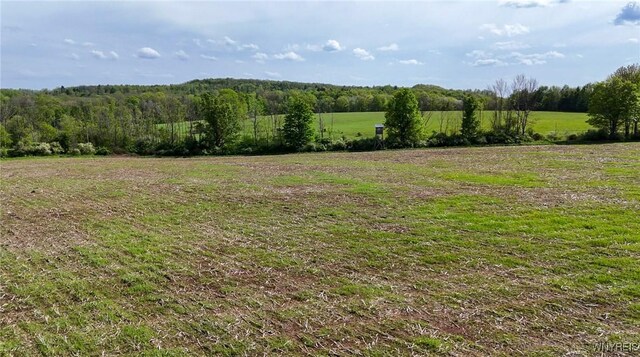 00 Armison Rd, Hume, NY 14735 - photo 8