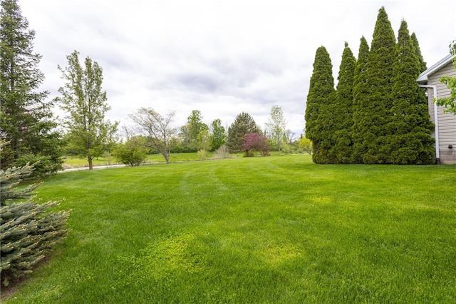 15 Stag Creek Trl, Clarkson, NY 14420 - view of grassy yard