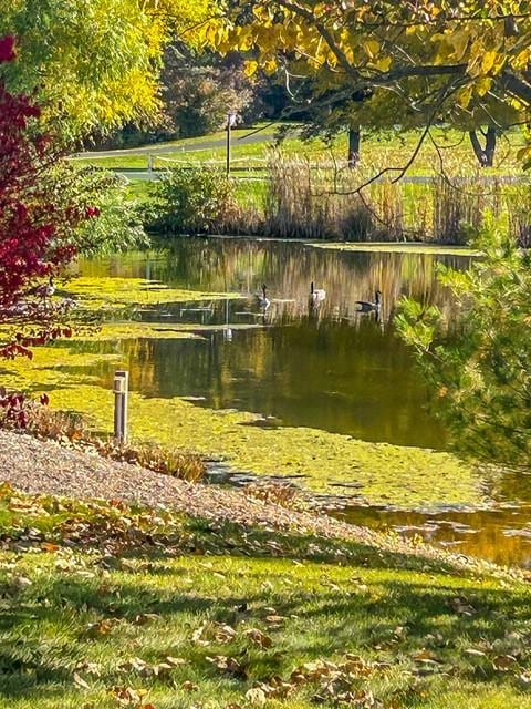 15 Stag Creek Trl, Clarkson, NY 14420 - view of community with a water view