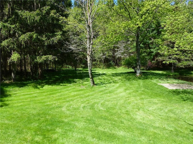 2693 Pulver Rd, Italy, NY 14418 - view of green lawn