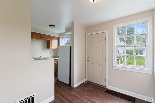 508 W Brighton Ave, Syracuse, NY 13205 - kitchen with freestanding refrigerator, healthy amount of natural light, light countertops, and dark wood-style flooring