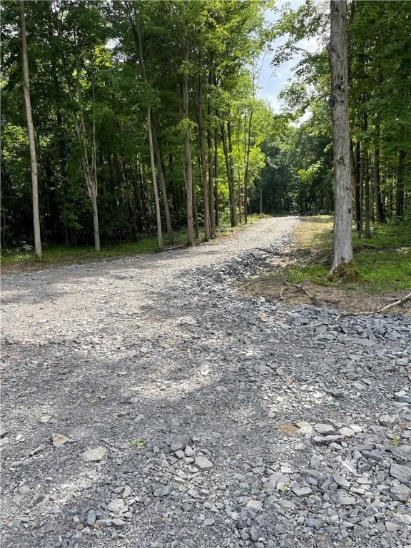 000 Mcnamar Rd, Barre, NY 14411