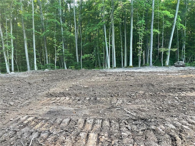 000 Mcnamar Rd, Barre, NY 14411
