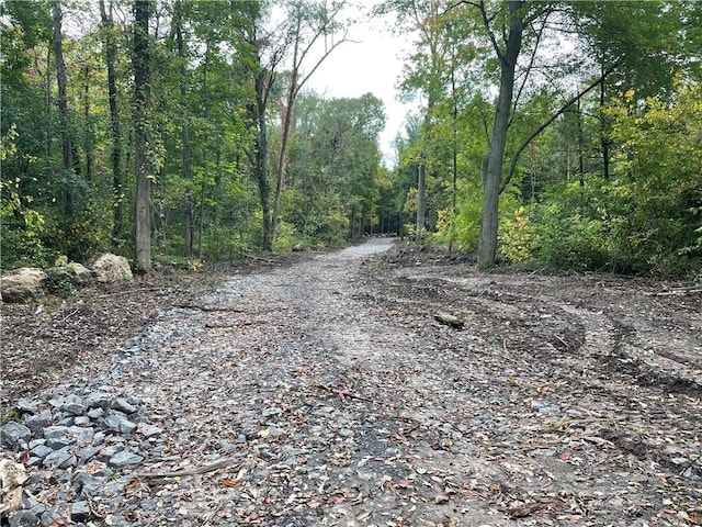 000 Mcnamar Rd, Barre, NY 14411