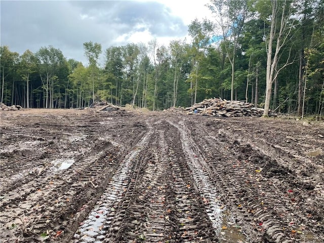 000 Mcnamar Rd, Barre, NY 14411