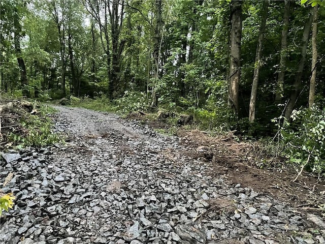 000 Mcnamar Rd, Barre, NY 14411