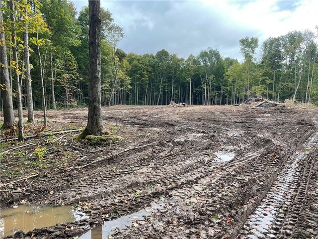 000 Mcnamar Rd, Barre, NY 14411