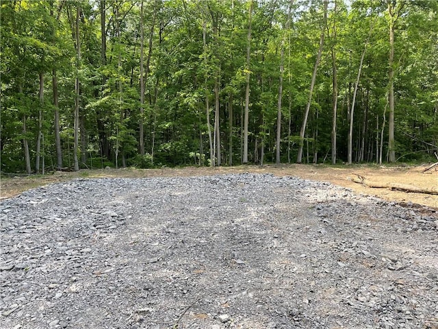 000 Mcnamar Rd, Barre, NY 14411